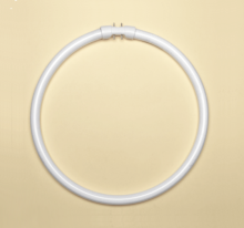 T5 Circle Fluorescent Lamp Glass Soft White 2GX13 4PIN 22W 40W 55W