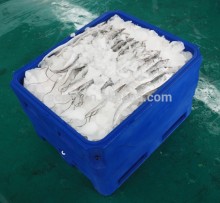 Fish storage container with ice fish bin chill fish tubs frozen fish transport tank