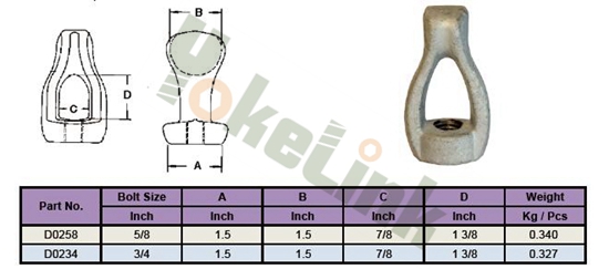 Gyűszűszem dió1 Thimble Eye Nut1