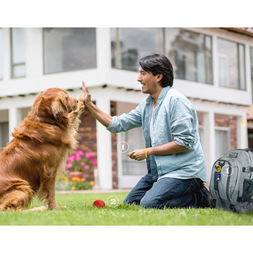 Köpek yavrusu veya kedi için etkili eğitim araçları