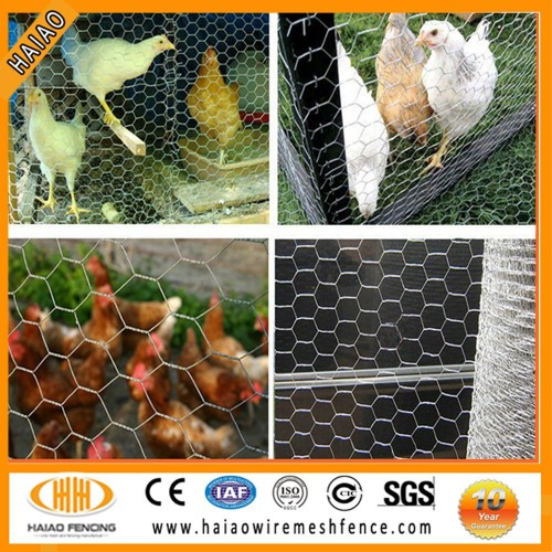 cheap chicken wire mesh philippines/chicken coop hexagonal wire mesh for plastering