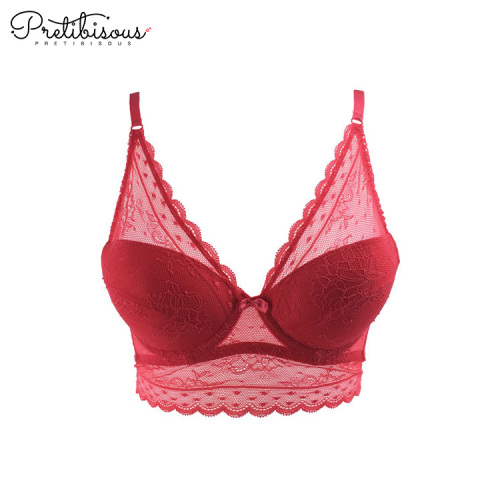 Set di reggiseno di pizzo francese di alta gamma