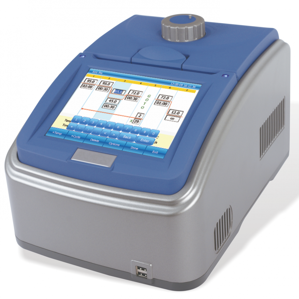 gene amplification gradient pcr