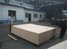 FSC Certification MDF