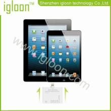 Lightning Camera Connection Kit For Ipad Mini &amp; Ipad 4?