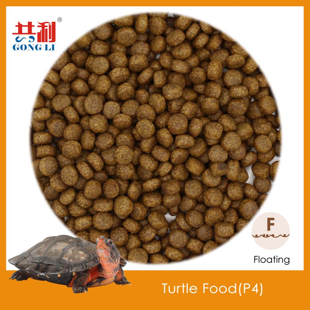 Turtle Feed 7