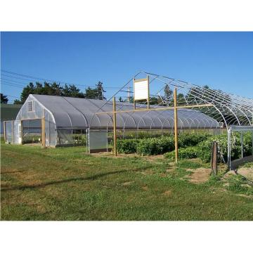 Multi Span plastic tunnel greenhouse with cooling system