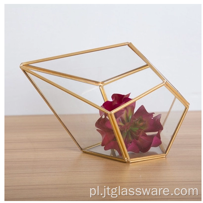 Rośliny Szklane Terrarium Geometryczny Pentagon Paproć Mech