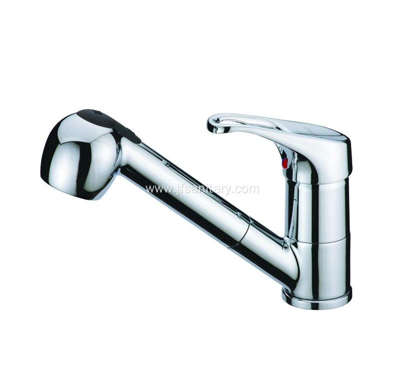Pullout Faucet With Filter