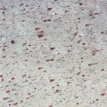 White Galaxy Granite tile & slabs & countertop