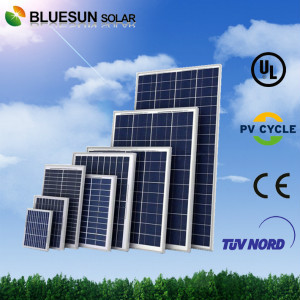 Bluesun Best Price PV Solar Panel 300W Module (BSM300P-72)