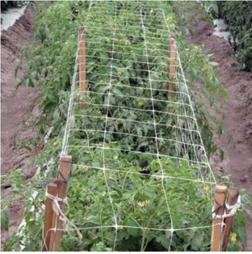 Creeper Plant Support Net Climbing Plant Support Net Climbing Plant Support Net