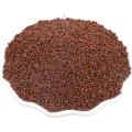 Perilla Seeds Good quality