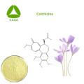 Control gout colchicum otoñal extracto polvo colchicina