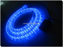 Vacation Lighting LED Rope Light for Wholesale
