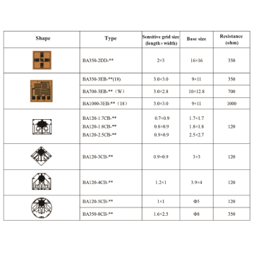 Strain Gage with Double Grids