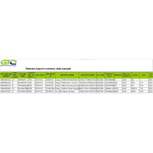 Vietnam Import Zolldate Daten Probe