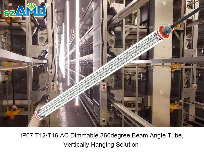 1200mm 1500mm 1800mm  LED Layer  Poultry Tube Light