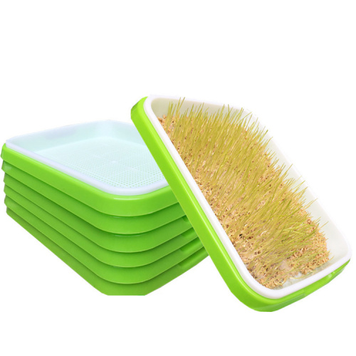 Flat PP Seed Tray plastic seed tray