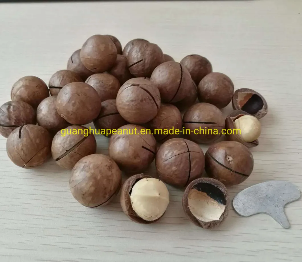 Health Roasted Flavored Macadamia Nut