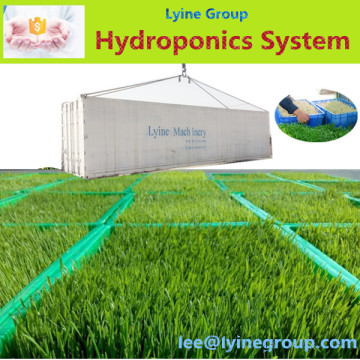 Hydroponic green fodder sprouting machine for livestock