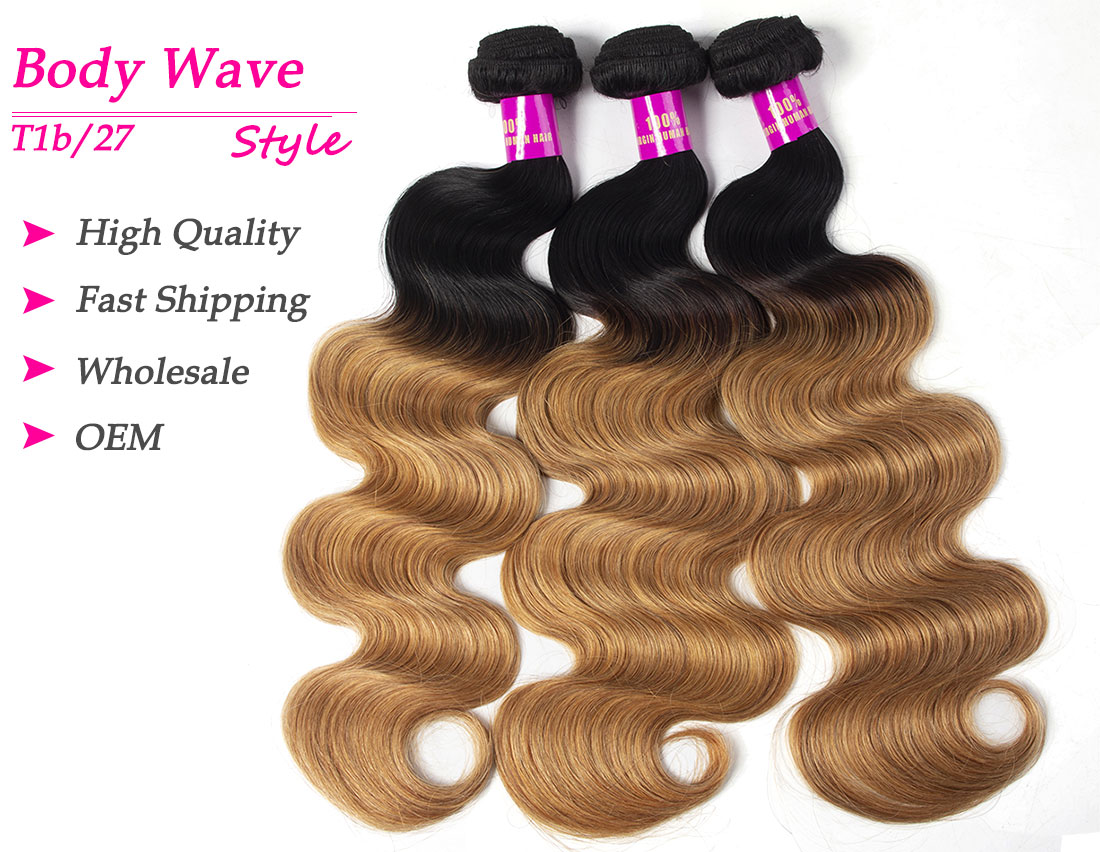 CELIE Body Wave 1B/27 Ombre Women Human Hair Mink 100% Virgin Hair Good Quality Human Hair Bulk