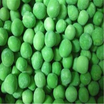 competitive frozen green pea,iqf pea,iqf green pea