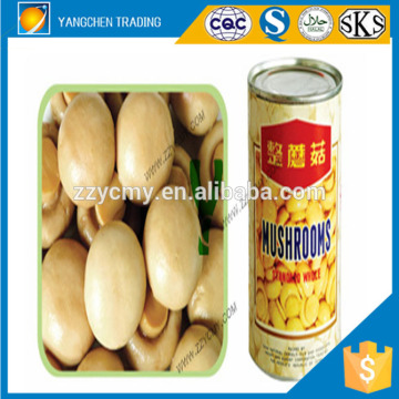 2 years Shelf Life and GMP HACCP HALAL Certification canned mushroom