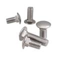 Stainless Steel Carriage Bolt Screw 304 316