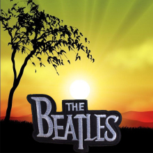 Custom Newly creative flat embroidery patches/embroidery badges