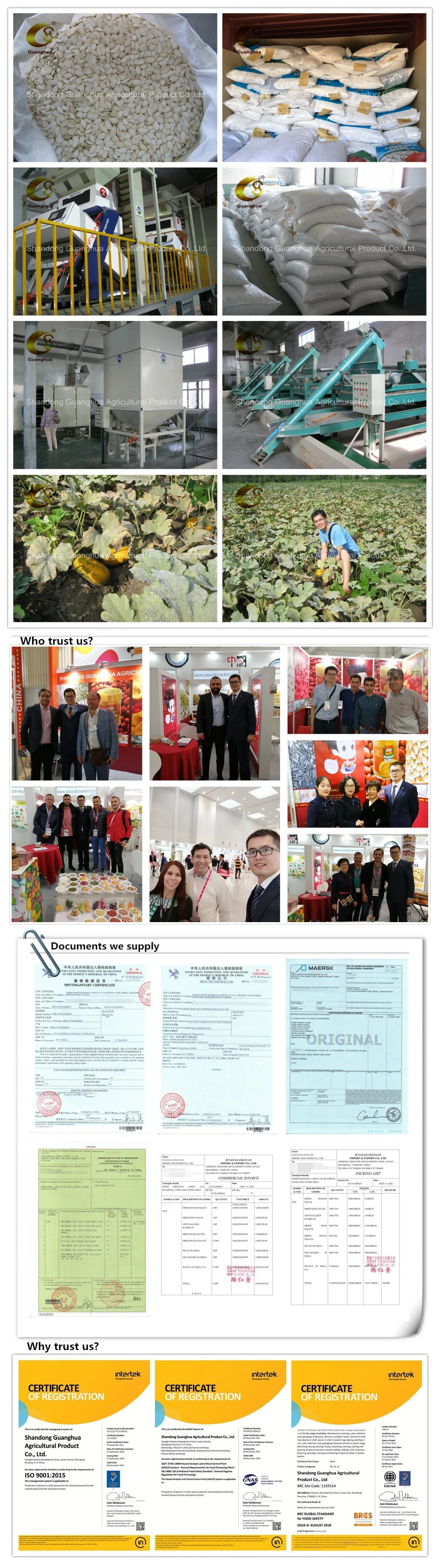 New Crop Snow White Pumpkin Seeds From Shandong Guanghua