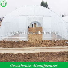 Natural Ventilation Plastic Tunnel Greenhouse
