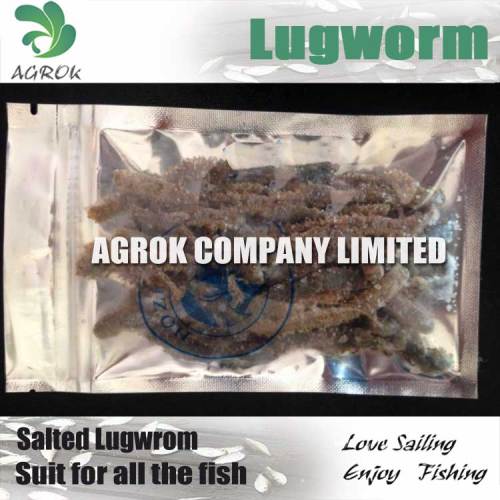 Salted Lugworm Fishing Bait