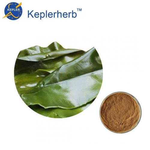 Kelp extract factory supply