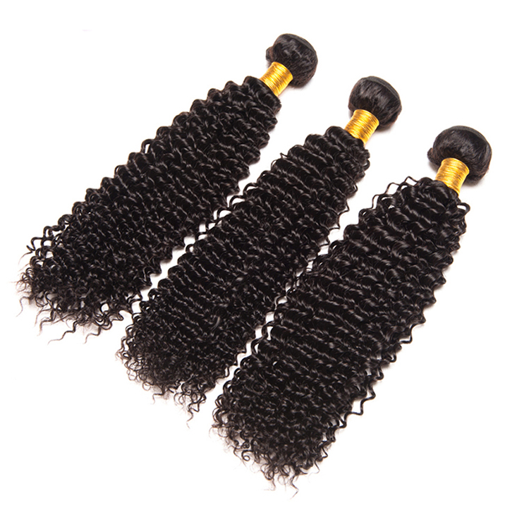 Cuticle Aligned Virgin Mongolian Kinky Curly Human Hair Crochet Braids  In South Africa, Kinky Hair Vendor Ombre With Closure
