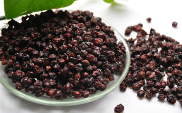 High quality schisandra Chinensis extract /Chinese Magnoliavine Fruit extract