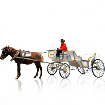 Cinderella Princess Carriage: White Romantic Wedding Sightseeing Pony Carriage