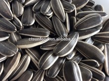 Hulled sunflower seeds raw