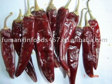 American Red Chili whole
