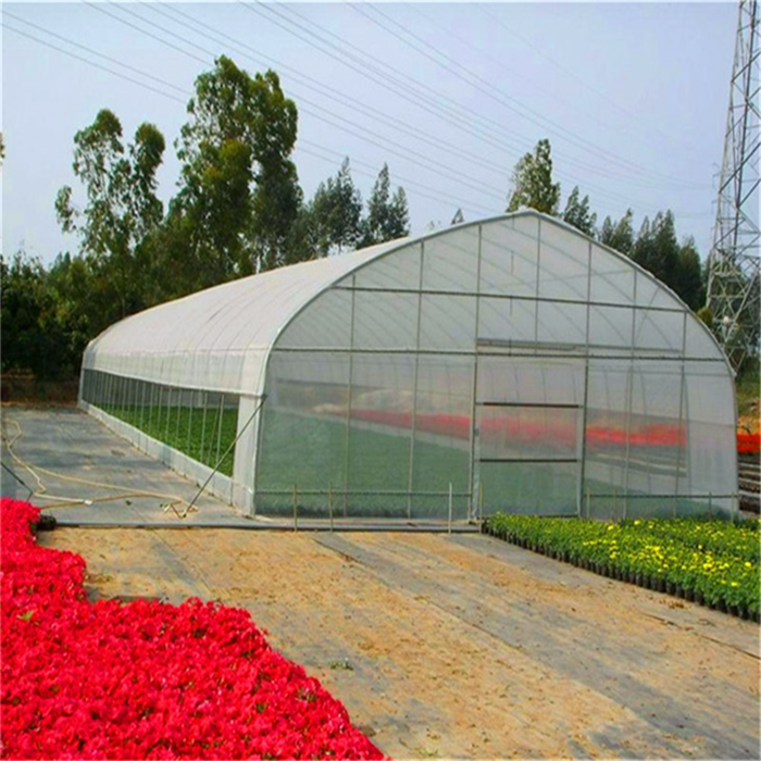 Cheap Single Greenhouse for Medical Planting