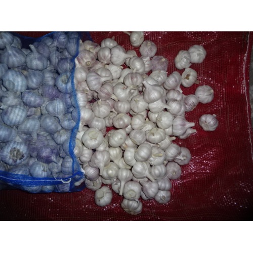 New Crop 2020 Normal White Garlic Size 4.5cm