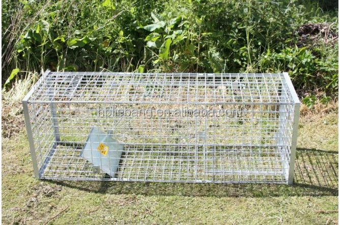 Hot Sale Live Catch Liebang Heavy Duty 60X18X20 inch Fox Wild Boar Cage Trap For Sale