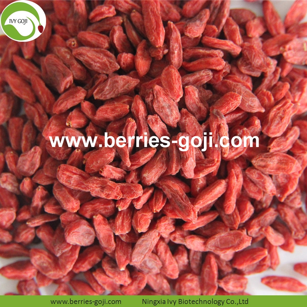 goji berry