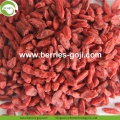 Nutrizione naturale all&#39;ingrosso di Zhongning Goji Berry della fabbrica