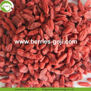 Fabrika toptan Beslenme Doğal Zhongning Goji Berry