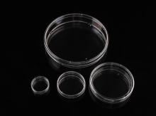 150mm Cell Culture Dishes laboratory