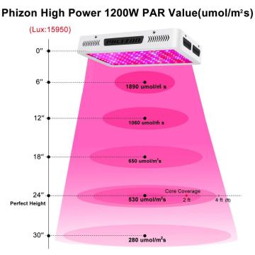 전체 스펙트럼 듀얼 칩 10W * 120 LED가 빛을 자랍니다