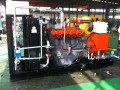 Biogas elektrisk Generator Set med Woodward manöverdonet