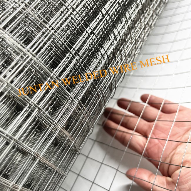 Electric Galvanized Welded Wire Mesh Roll 2 Jpg