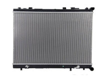 Radiator Dpi 13448